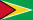 Guyana Online Newspapers